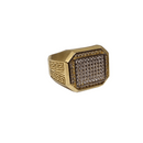 10K Gold Leo  Ring New YYY-06