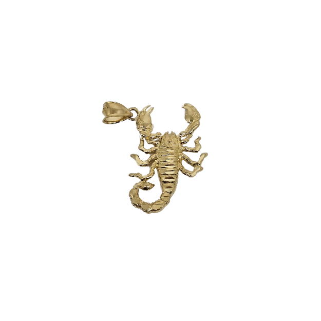 10k Gold pendant Scorpio  New