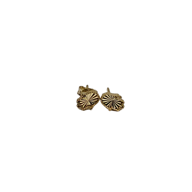 10k  Earring Yellow Gold