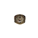 10k Gold Jack Ring