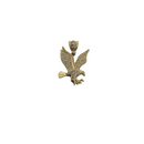 10k Gold Eagle New CAL-062
