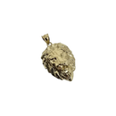 Lion  - 10K Gold  Pendant
