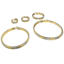 10K Duo color Design Earring New