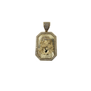 10k Jesus Illusion Pendant NEW 2022