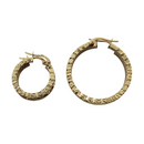 10K Yellow Gold Earring WE-004