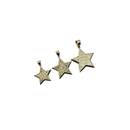 Pendantif Nuggo Star en or 10k modele 2020 LA136