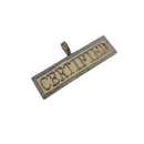 Certified Pendant 0.96ct of Diamonds 10k Gold NEW